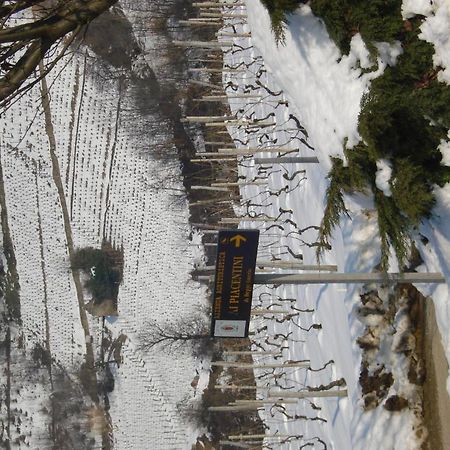 Agriturismo Ai Piacentini 산토 스테파노 벨보 외부 사진