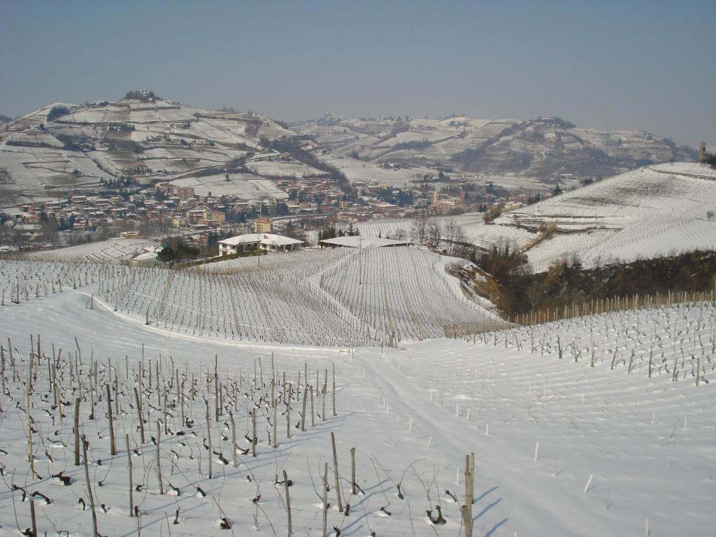 Agriturismo Ai Piacentini 산토 스테파노 벨보 외부 사진